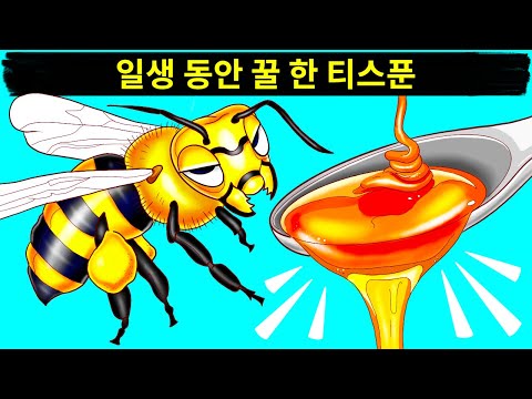 , title : '벌이 어떻게 그리고 왜 꿀을 만드는지(그리고 궁금했을 벌에 대한 다른 사실들)'