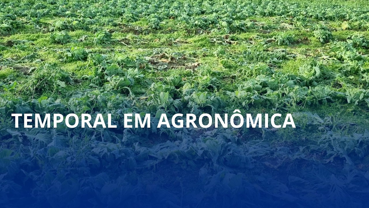 Temporal em Agronômica. Prefeito decreta situação de emergência