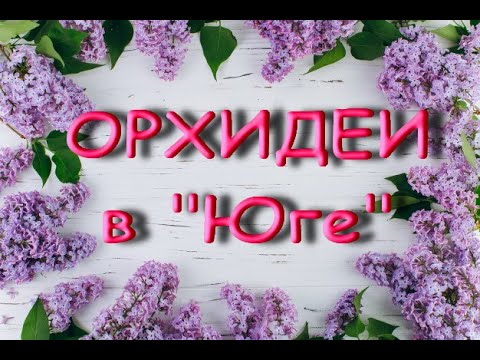 ЗАВОЗ прекрасных ОРХИДЕЙ в "Юге",09.09.20,Самара,ул.Авиационная,8.
