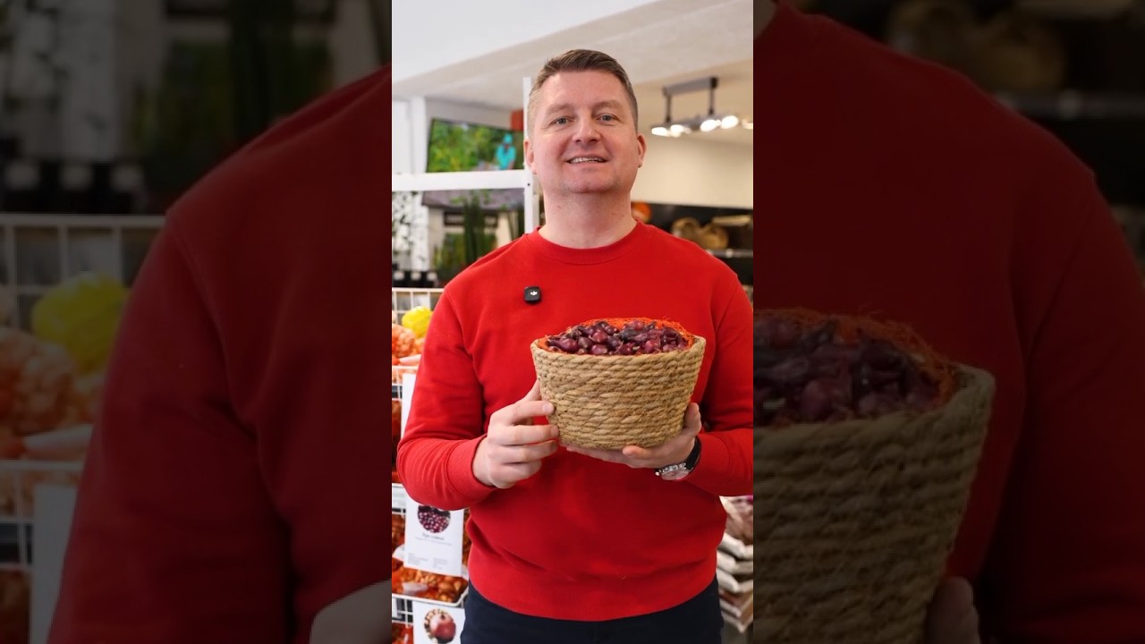 Лучшие сорта лука для самых вкусных салатов! Сочные, сладкие и хрустящие