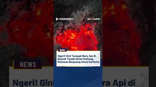 Download lagu Ngeri! Gini Tampak Bara Api di Bawah Tanah Hutan Kalteng, Relawan Berjuang Atasi Karhutla mp3
