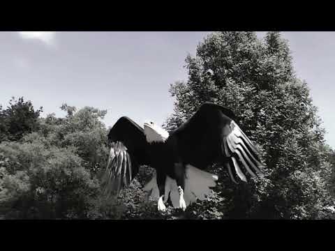 ENHYPEN (엔하이픈) Comeback Trailer 1: Us-The Others