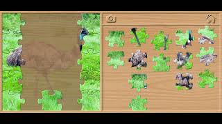 ๐ชถ Emu Jigsaw Puzzle - Animals Puzzles for Kids Walkthrough