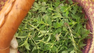 How To Blanch Stinging Nettles to Remove The Sting