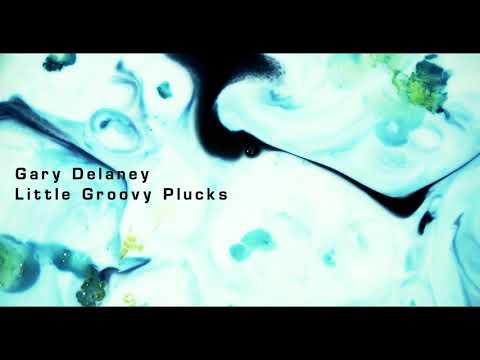 Gary Delaney - Little Groovy Plucks (Original Mix) [JOOF 2018]