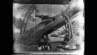 1899 - 紅葉狩り Momijigari - Shibata Tsunekichi (Nihon Sossen Katsudo Shashinkai)