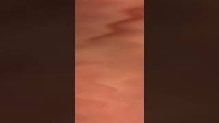 Tiktok Busty Girls | Busty Tiktok Compilation | Braless Tiktok | No Bra Titktok | Braless Busty Girl