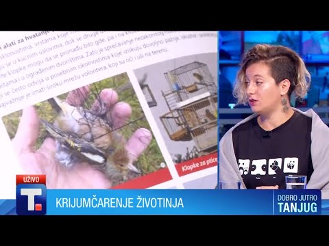 Ko i kojim kanalima krijumčari životinje? - Irena Raičević • DOBRO JUTRO TANJUG