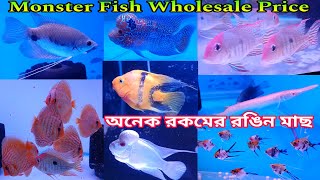 Aquarium Fish Shop Suvechya Aqua | Aquarium Fish Price | Aquarium Fish Shop | Aquarium Fish | Fish 