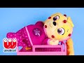 PAW PATROL Skye has Chickenpox at School | Jr Doc McStuffins, | Ellie Sparkles Loves LOL Surprise