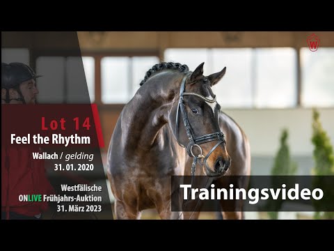 2nd Chance Online-Auktion Training Lot 14 Feel the Rhythm Wallach v. Fashion in Black NRW - Flatley