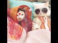Tui Ki Amar Hobi Re Imran New Song