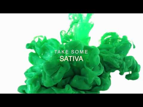 Ashton Russell - Perfect Strangers (Lyric Video)