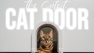 Our BENGAL CATS most USED PRODUCT!