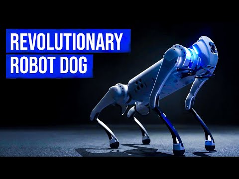 Meet Go2 Pro: $5000 Robot Dog Who Can Run Faster Than You