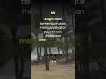 Kata Kata Bijak Kehidupan Terbaik Sholawat Quotes Motivasi Dailyquotes Inspirationalquotes