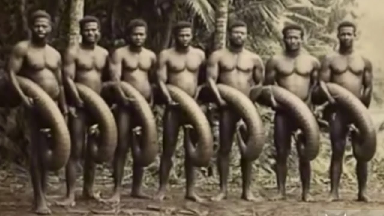 50 Mistérios Inexplicáveis Que os Cientistas Não Conseguem Explicar