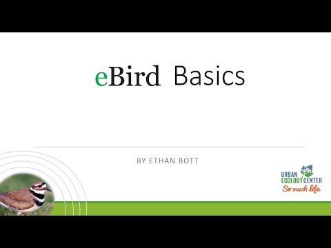 , title : 'eBird Basics'