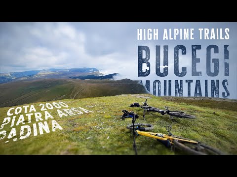 Cota 2000 - Piatra Arsa  -  Padina | BUCEGI MOUNTAINS