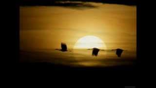 Everyday - The Sunburst Band