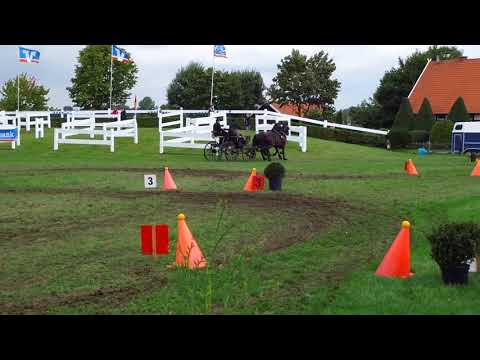 Fahrturnier Ostenfelde 19.8.2017
