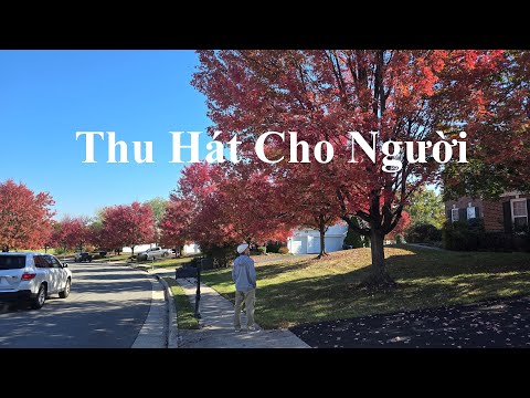 Thể hiện bởi Lệ Thu