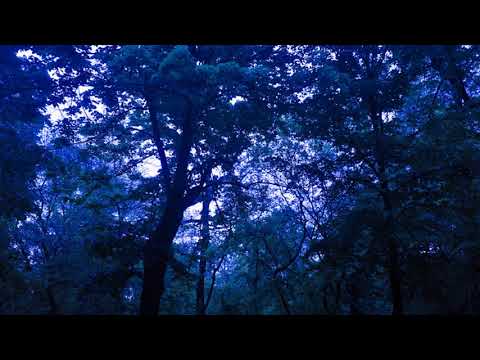 Begotten - Black Crow Blues (Townes Van Zandt Cover)