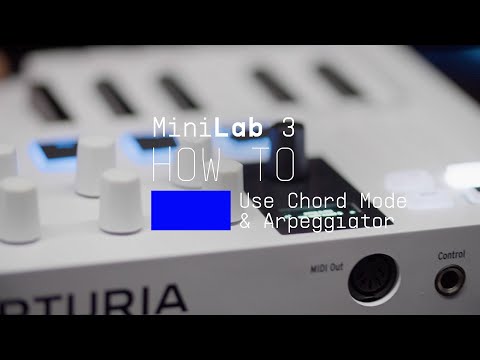 MiniLab 3 | How To Use Chord Mode & the Arpeggiator