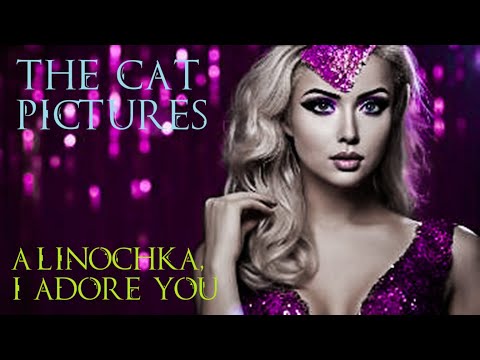 The Cat Pictures (feat. Valeria Lukyanova) - Alinochka, I adore you