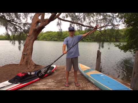 Pelican Symbiosa Adjustable Kayak Paddle