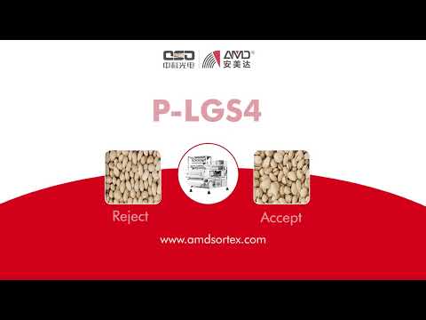 Closed - Open shell Pistachio nuts sorting by AMD P-LGS4 AI Sorting machine # Pistachio separate