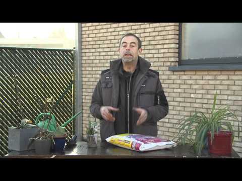 download lagu mp3 mp4 Kamerplanten Mix, download lagu Kamerplanten Mix gratis, unduh video klip Kamerplanten Mix