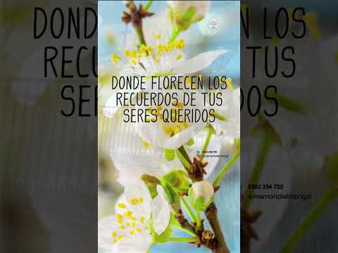 Memorial Ecológico El Mangal | Cementerio Privado ubicado en el Departamento Central, Paraguay