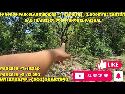 Se vende 2 parcelas en cantón san francisco dos cerros El paisnal san salvador norte 
