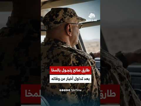 Yemeni Windows Media