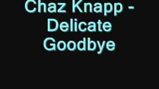 Chaz Knapp - Delicate Goodbye