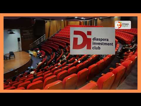 Kenya diaspora alliance targets startup investment shift beyond remittances