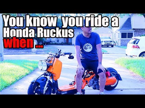 You know you ride a Honda Ruckus when... #Top5 #Ruckus #Honda