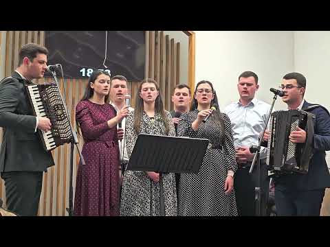 Fratii Bîrsan - Anii se duc