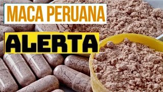 MACA PERUANA EM CÁPSULAS ONDE COMPRAR?⚠️ALERTA⚠️ MACA PERUANA VENDE EM FÁRMACIA?