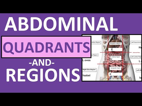 Four Abdominal Quadrants and Nine Abdominal Regions - Anatomy and Physiology
