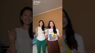 Download lagu Indah putri duyung mp3