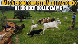 VALENDO PONTUAÇÃO PARA O TORNEIO BRASILEIRO DE 