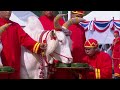 Oxen in Thailands annual royal ploughing ceremony indicate Thai economy set to prosper - Video