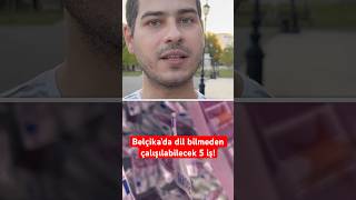 Türklerin Belçika’da dil bilmeden çalışılabileceği 5 iş ve maaşları