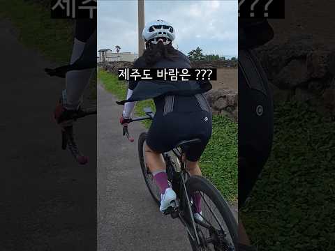 제주도에 돌담이 많은 이유? #문화유산 #제주바람 #제주라이딩