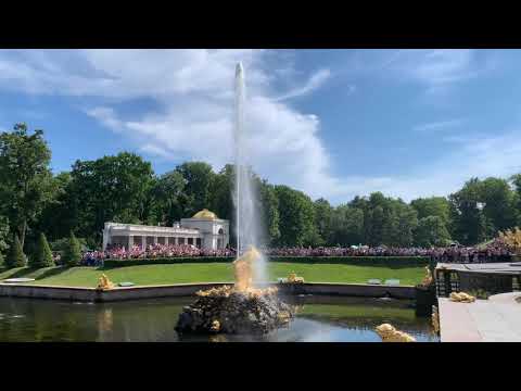 Schloss Peterhof | Петергоф | The Peterhof Palace - St. Petersburg