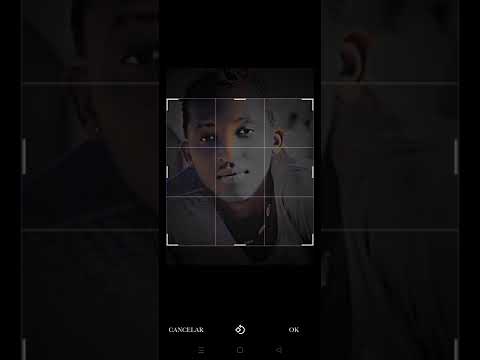 Prodigio feat Bander _Monster Crazy keYven jady e vários artistas