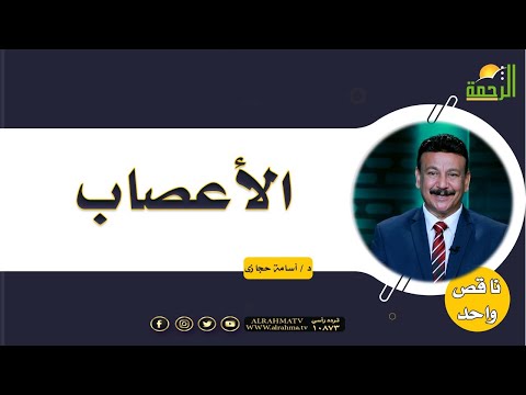 الأعصاب برنامج ناقص واحد مع دكتور أسامة حجازى