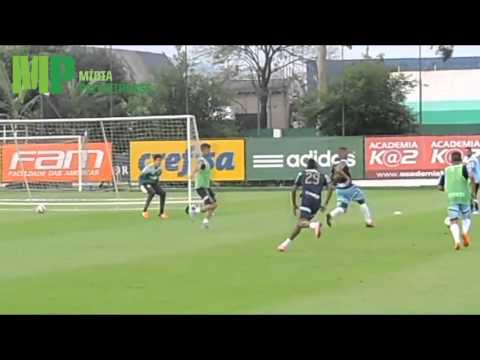 Melhores momentos do Treino da S.E. Palmeiras - GOLS